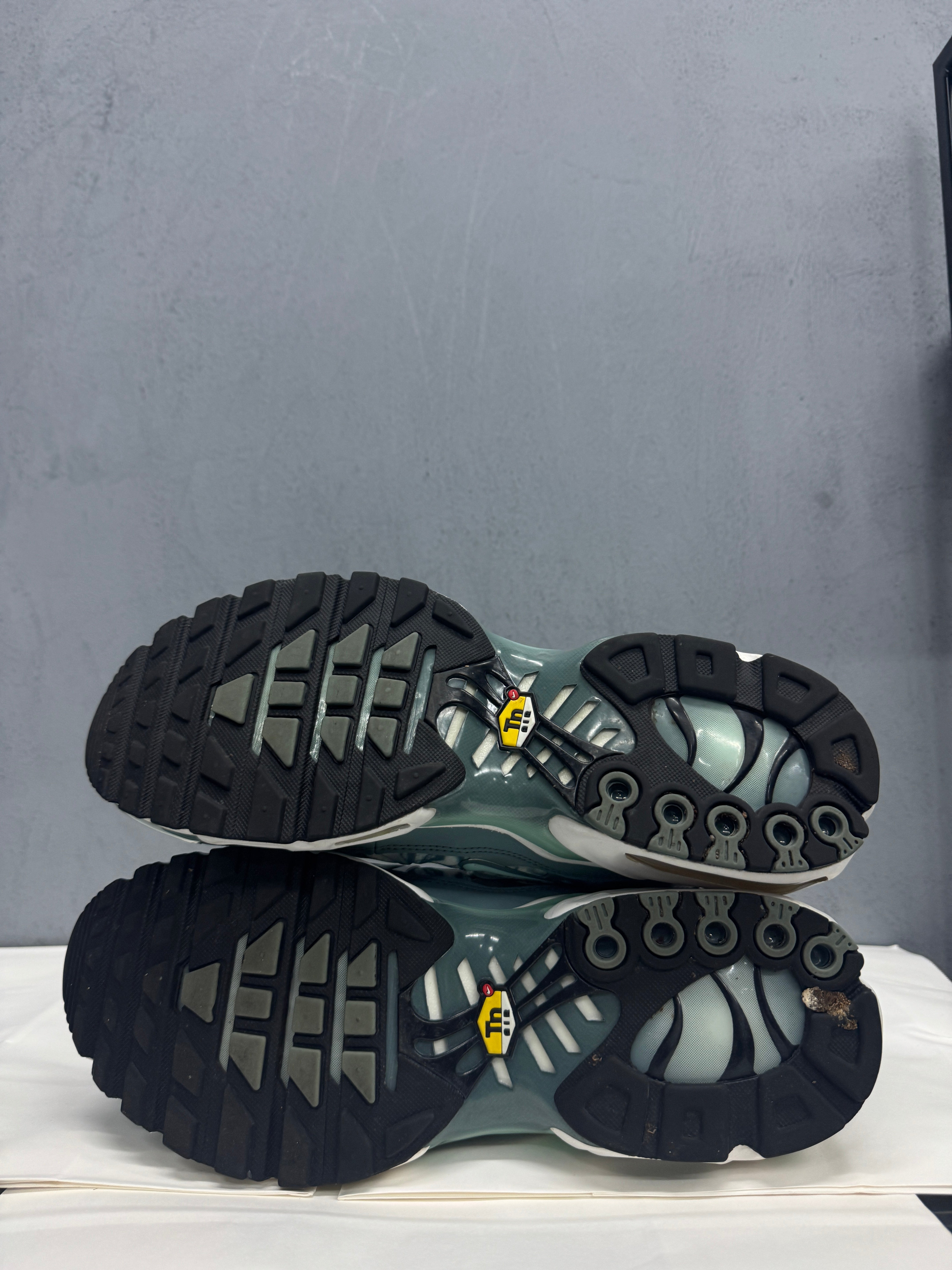 Used Nike Air Max Plus TN 'Origins Waterway'