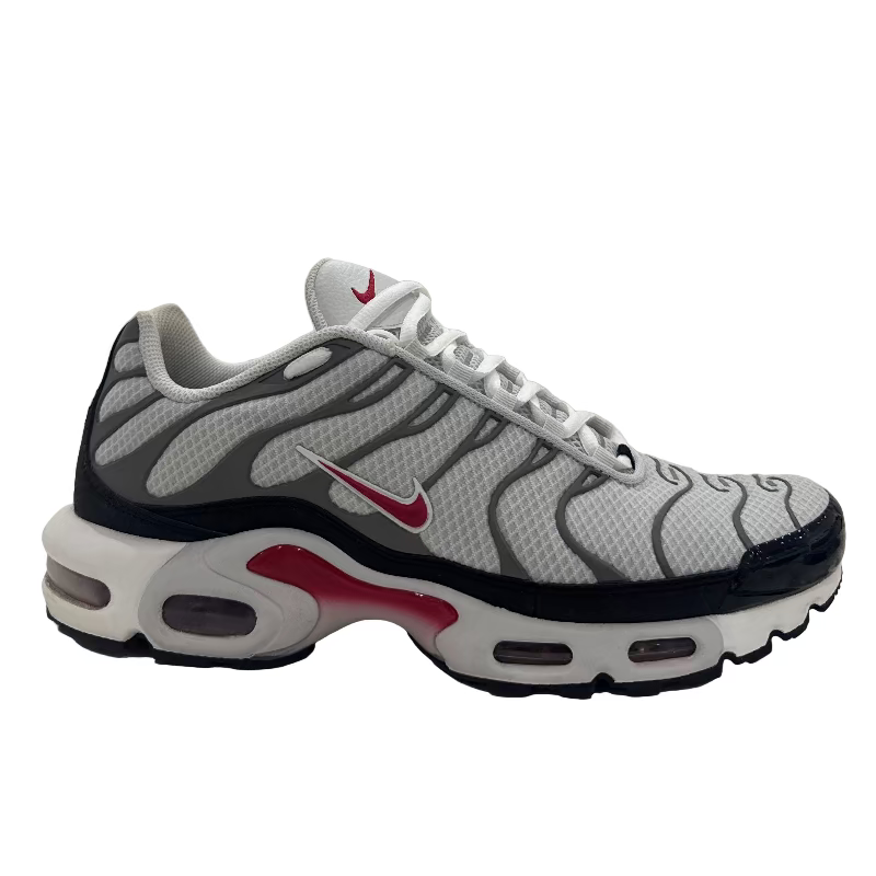 Used Nike Air Max Plus TN 'Photon Dust'
