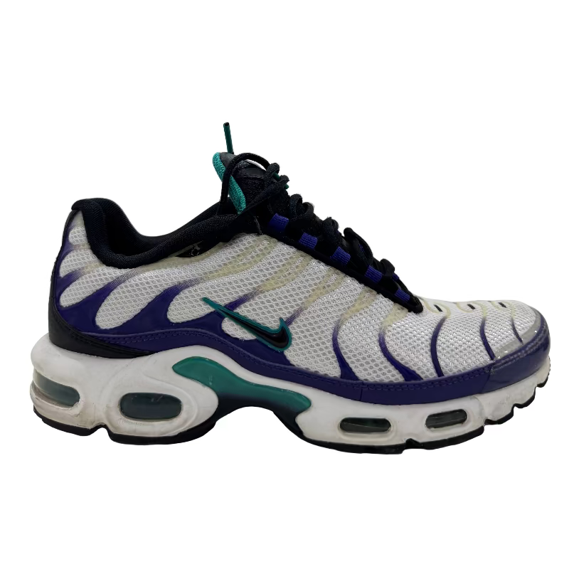 Used Nike Air Max Plus TN 'Grape'