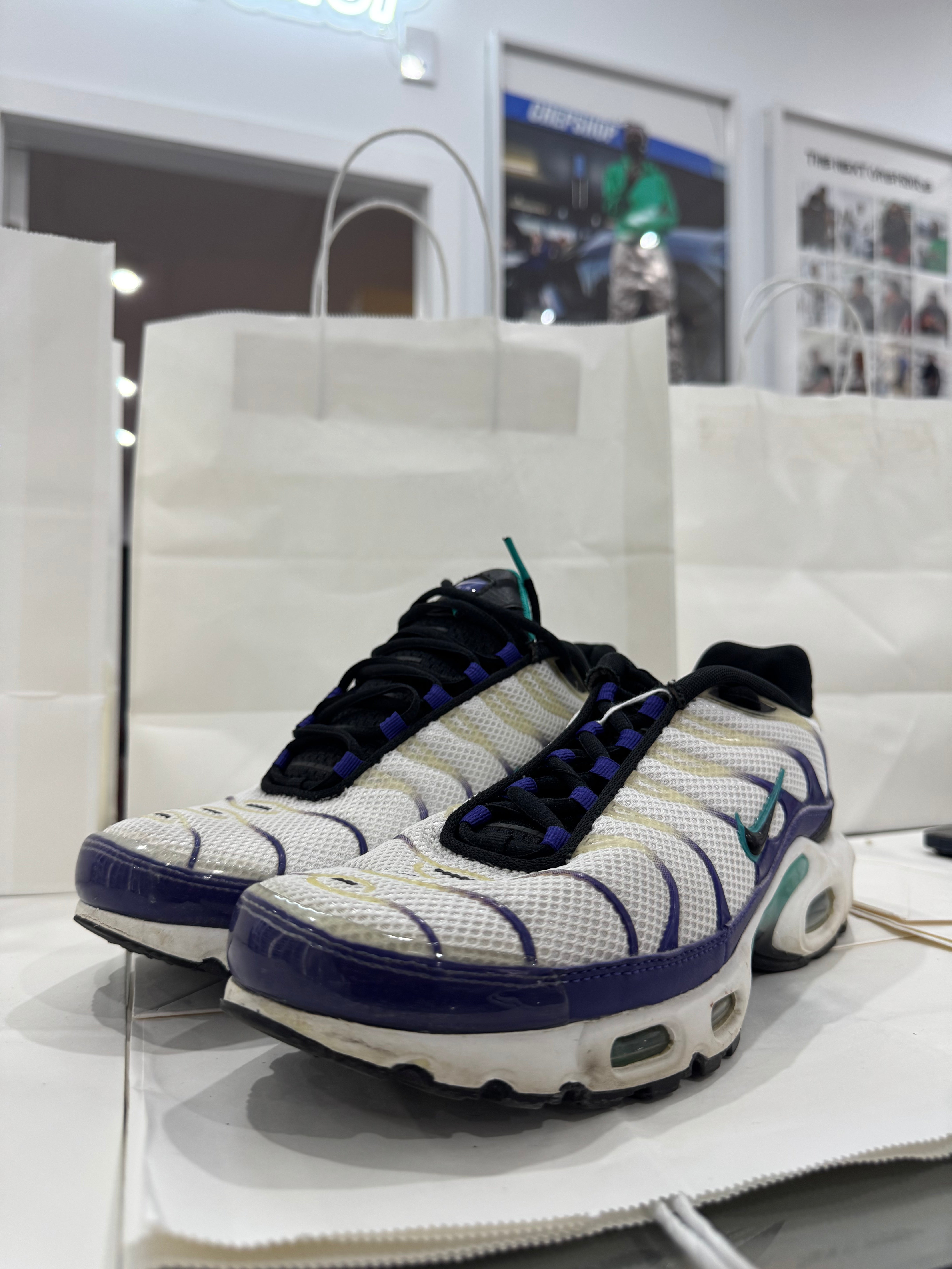 Used Nike Air Max Plus TN 'Grape'
