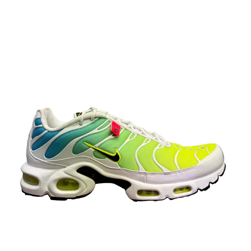Used Nike Air Max Plus TN 'WorldWides'