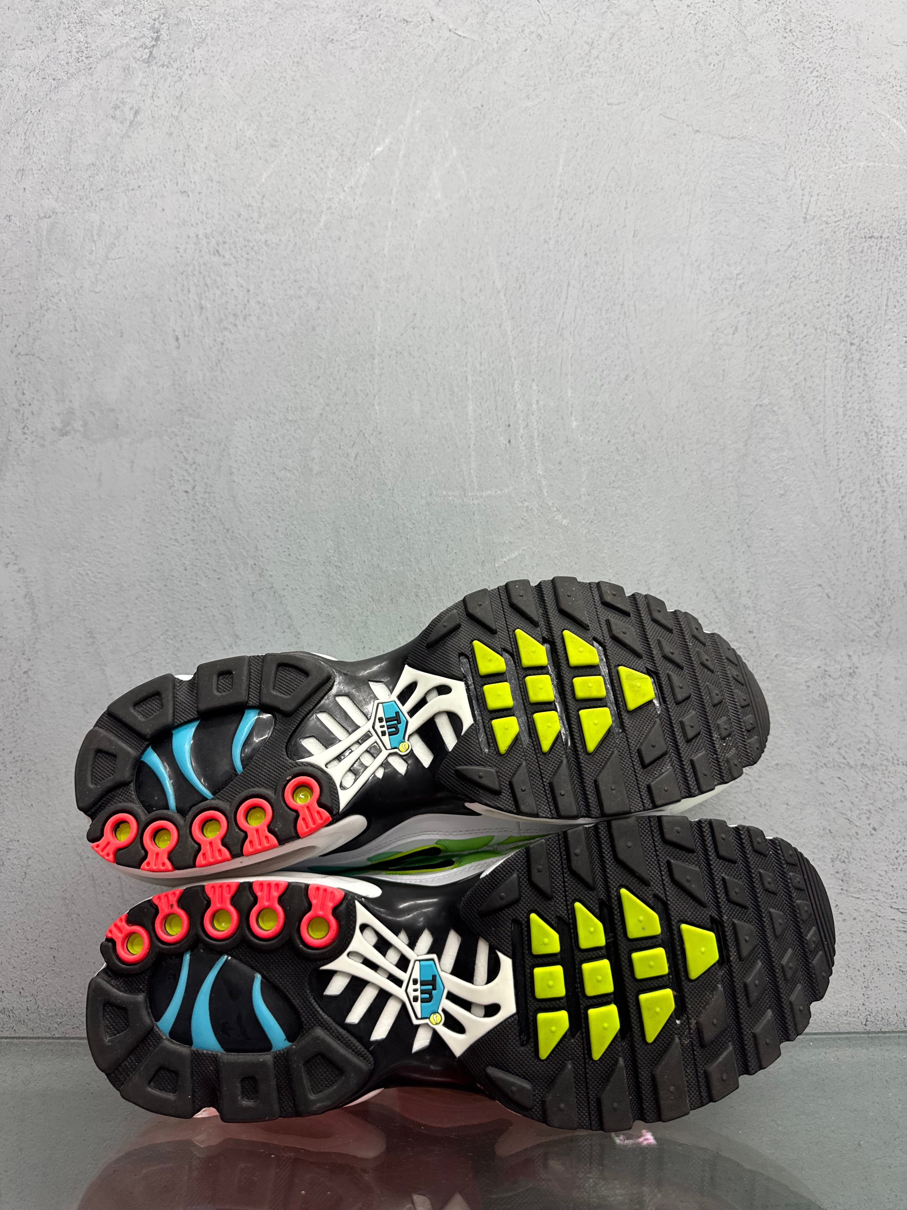 Used Nike Air Max Plus TN 'WorldWides'