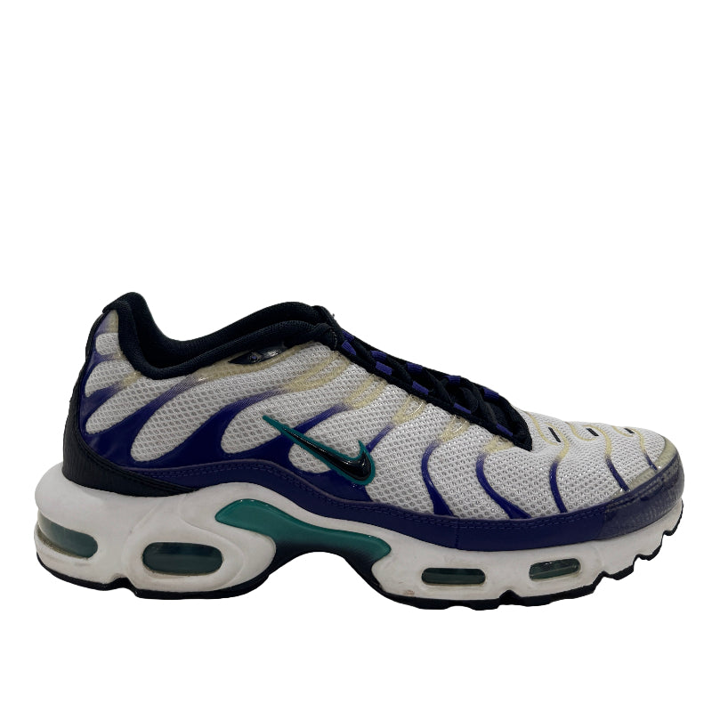 Used Nike Air Max Plus TN 'White Grape Ice'