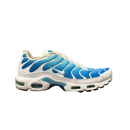 Used Air Max Plus Battle Blues