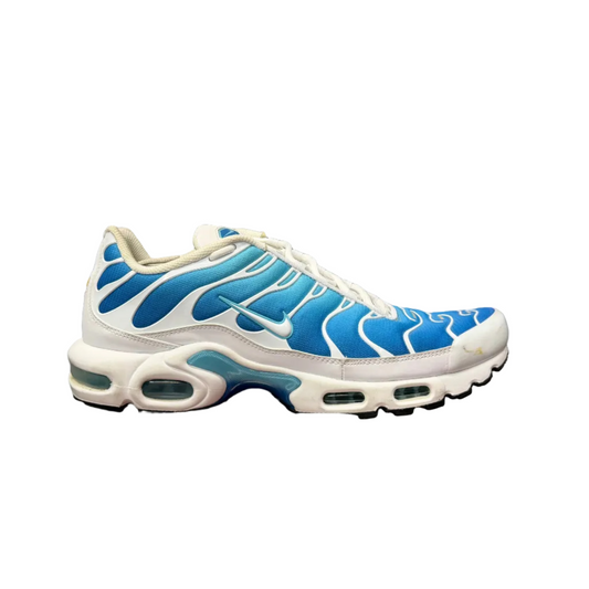 Used Air Max Plus Battle Blues