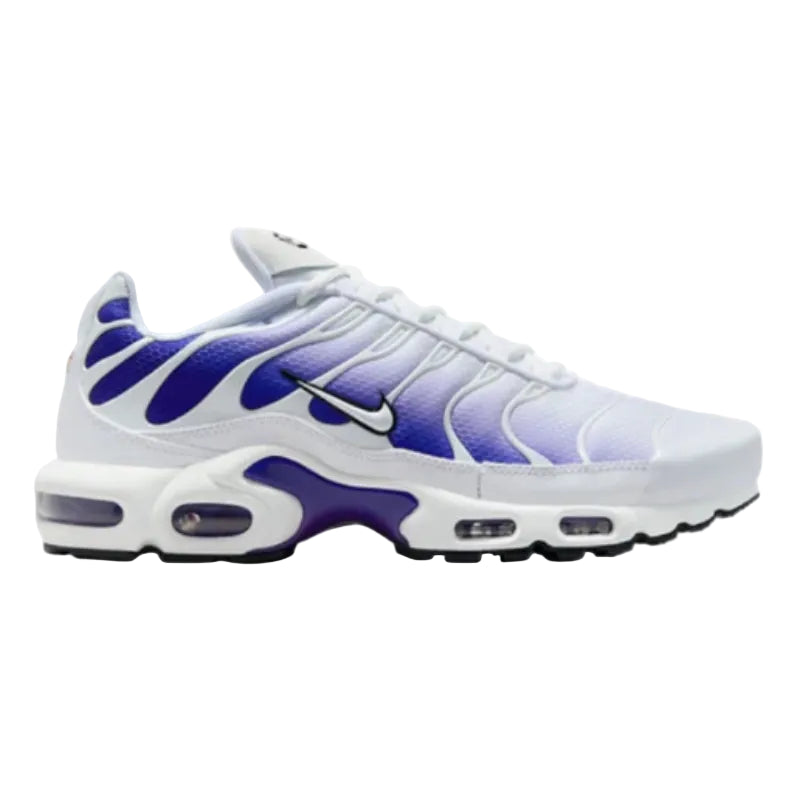 Nike Air Max Plus 'White Deep Night'