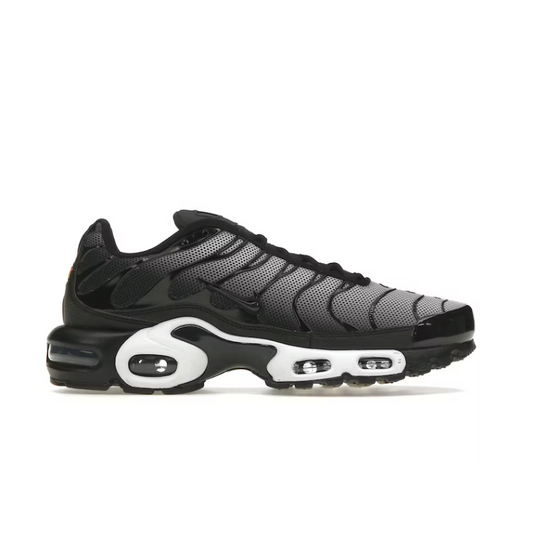 Nike Air Max Plus Midnight Navy