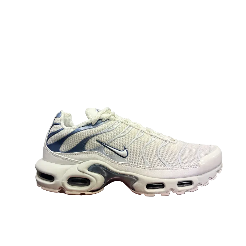 Used Nike Air Max Plus Ashen Slate