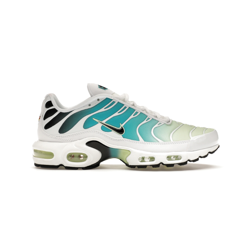 Nike Air Max Plus TN 'Dusty Cactus'