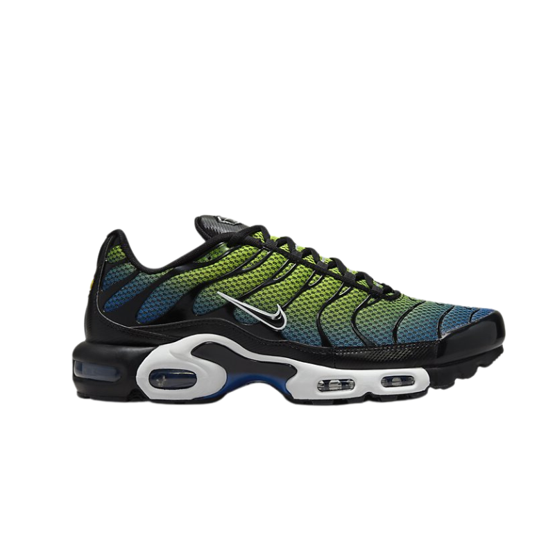 Nike Air Max Plus TN 'Royal Checker'