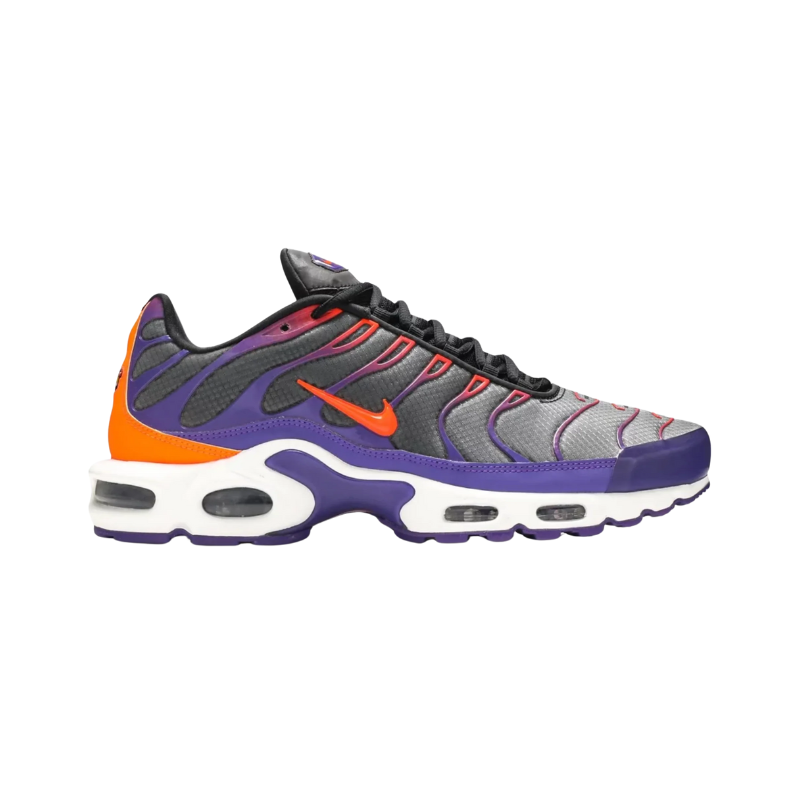 Nike Air Max Plus TN 'Dark Colourflip'