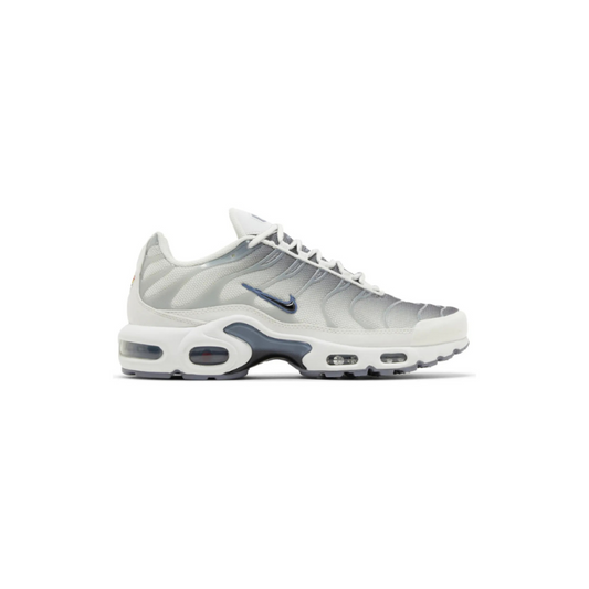 Nike Wmns Air Max Plus 'Smoke Grey Ashen Slate'