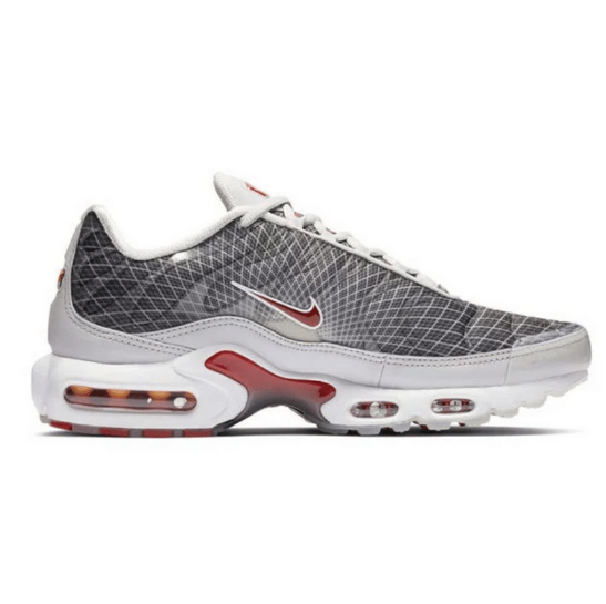 Nike Air Max Plus TN 'Grey Quads'