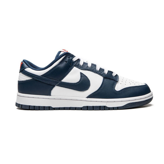 Nike Dunk Low Valerian Blue