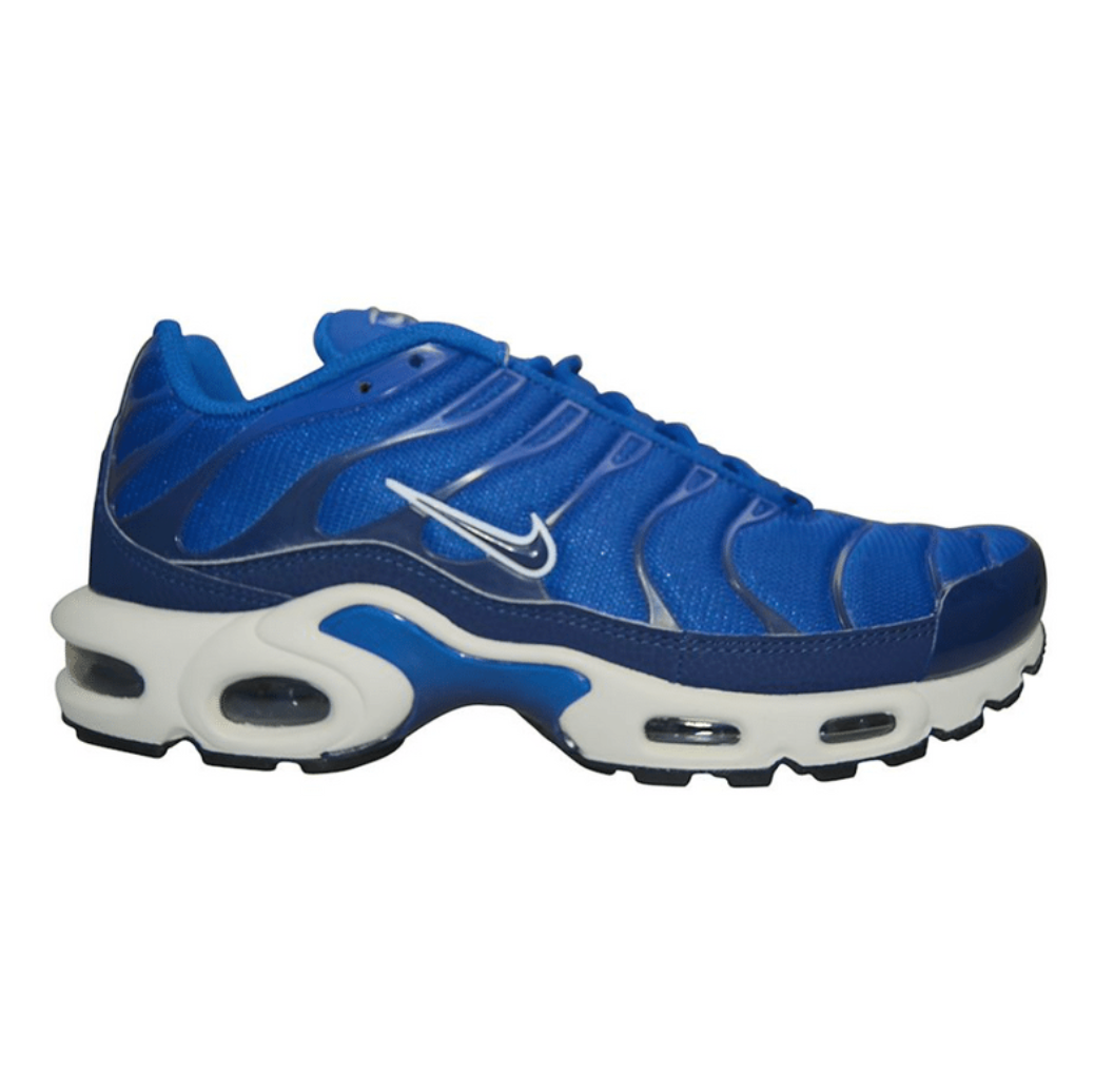 Nike TN 'Indigo Force'